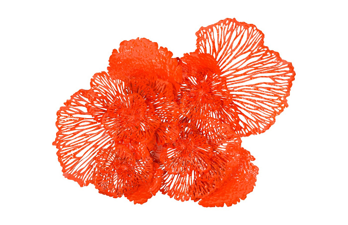 Flower wall art Coral