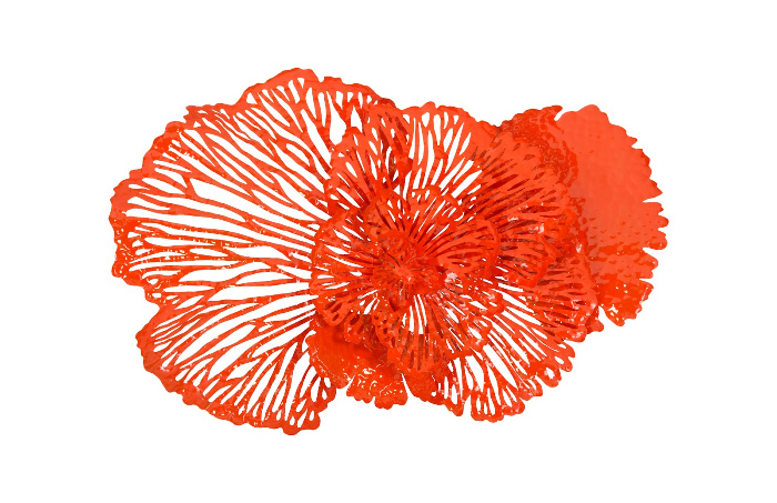 Flower wall art Coral