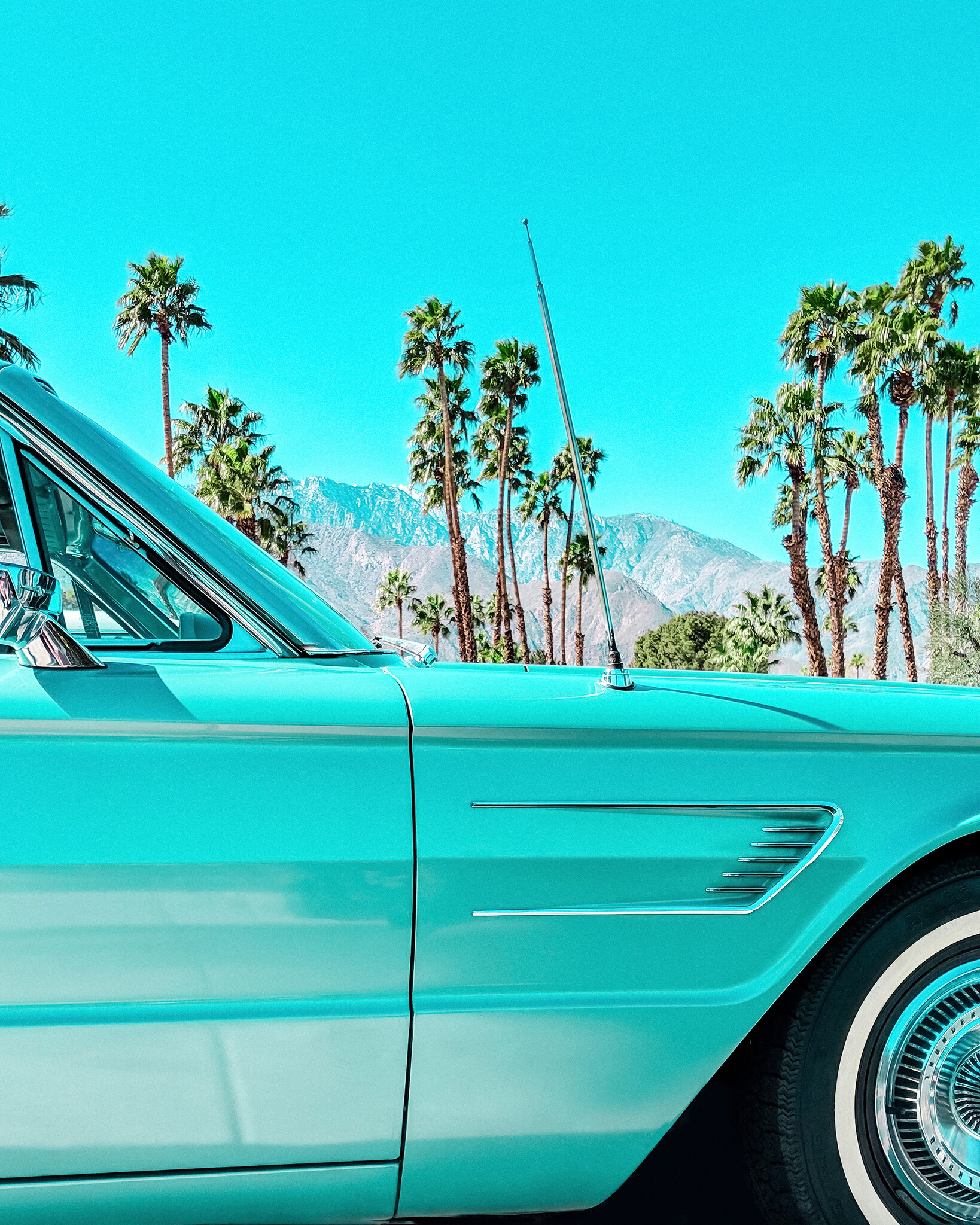 Teal Thunderbird in Palm Springs