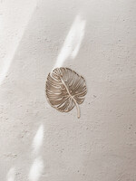 By OOAK Plantlines - Monstera Small - Moq: 2