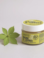 Jadys Cosmetics Baume à lèvres réparateur et protecteur - Qty: 3