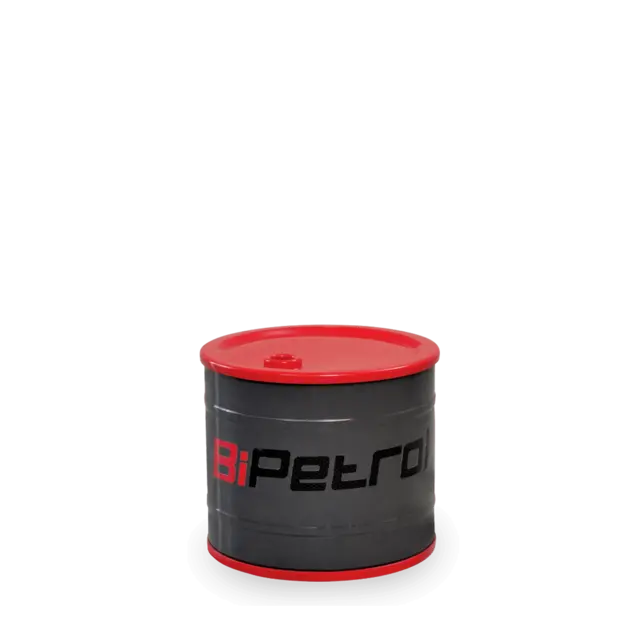 Champion Racer Kinderkamer