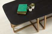 Diana Salontafel Diana Salontafel