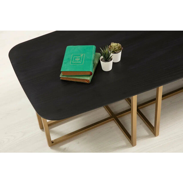 Diana Salontafel Diana Salontafel