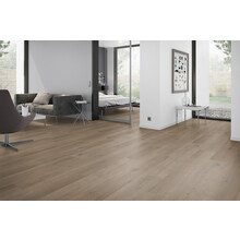 Attico 840 | Dryback