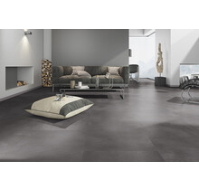 Touchstone 20 | Dryback
