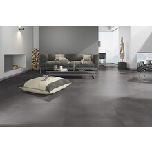 Touchstone 20 | Dryback