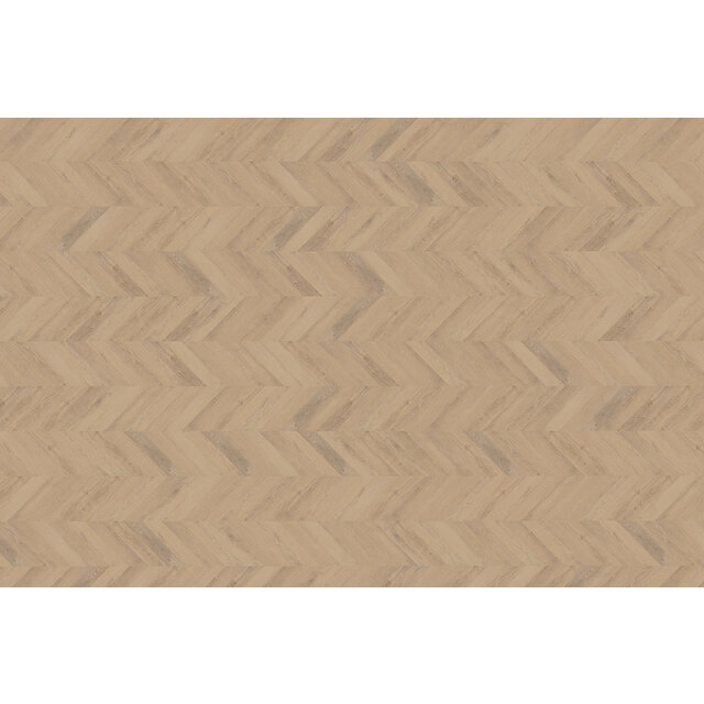 Palazzo Hongaarse | Punt 72