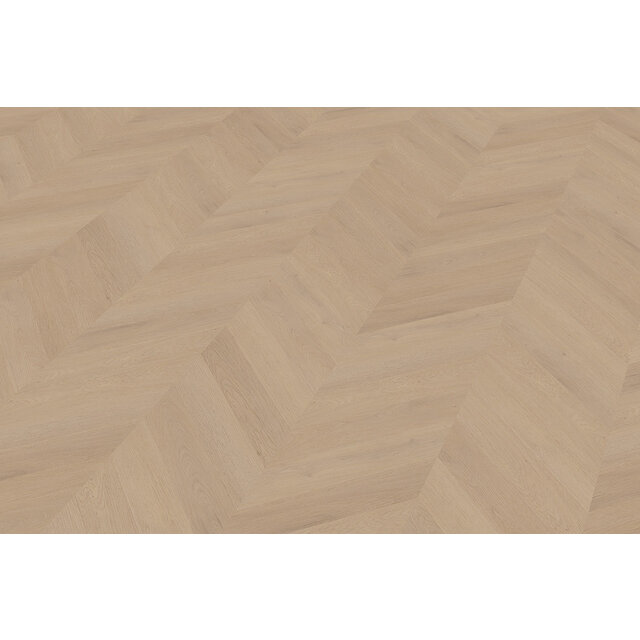 Palazzo Hongaarse | Punt 77