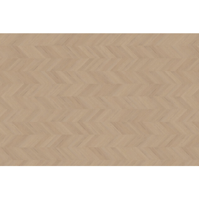 Palazzo Hongaarse | Punt 77