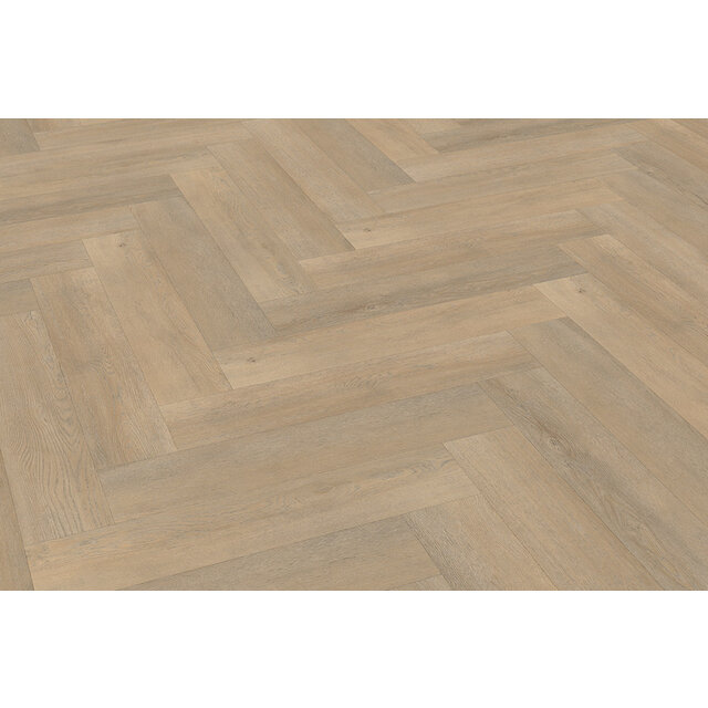 Palazzo Visgraat | XL 71