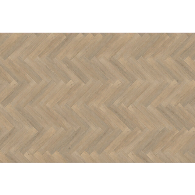 Palazzo Visgraat | XL 71