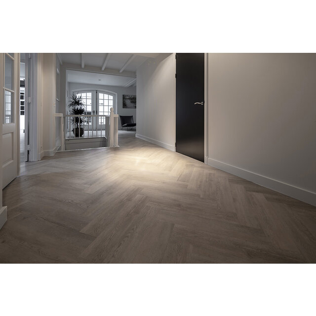 Palazzo Visgraat | XL 71