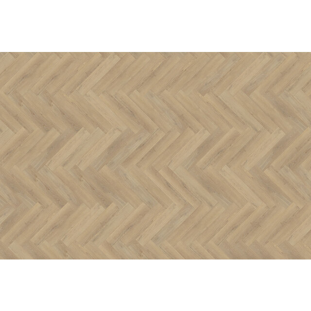 Palazzo Parquet en chevrons | XL 72