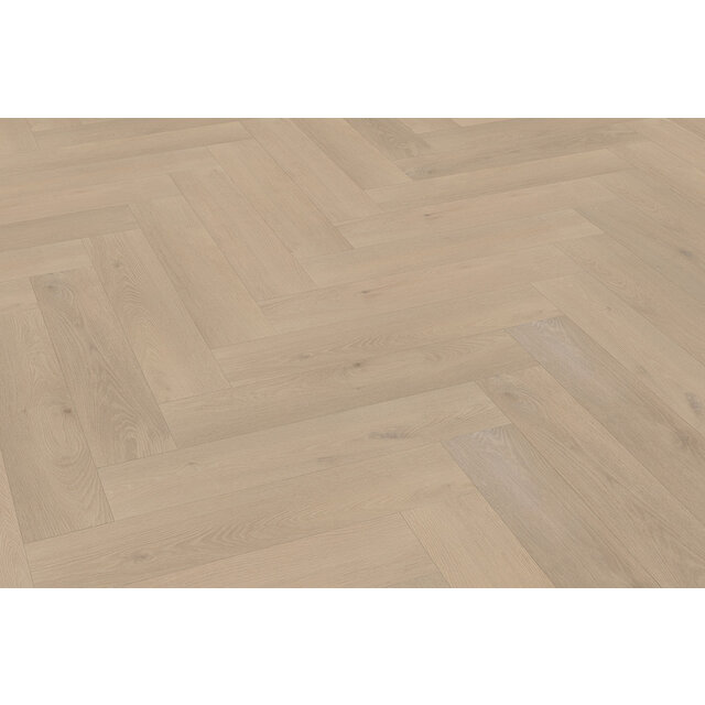 Palazzo Parquet en chevrons | XL 74