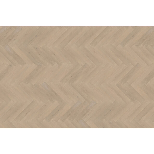 Palazzo Parquet en chevrons | XL 74