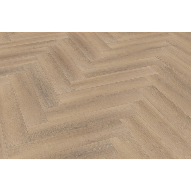 Palazzo Visgraat | XL 76