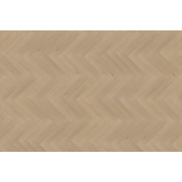 Palazzo Parquet en chevrons | XL 77