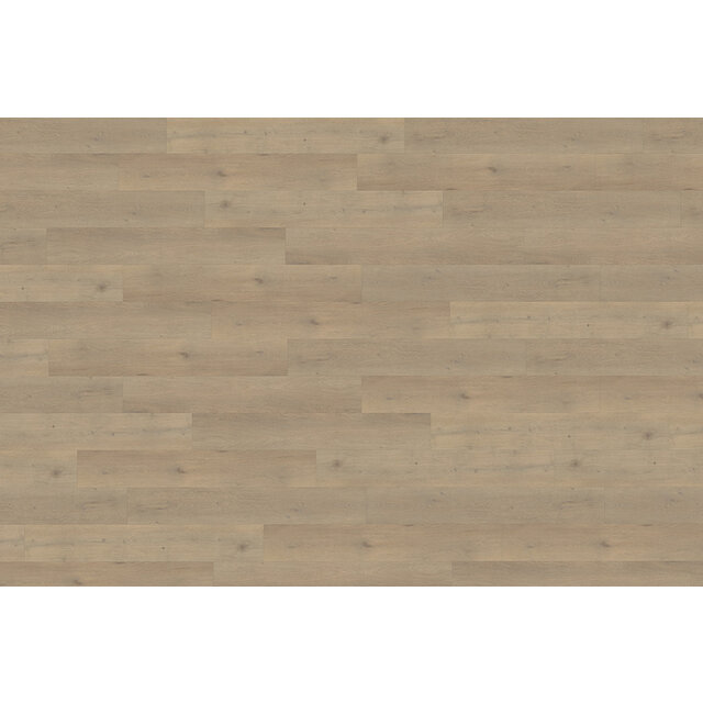 Attico | 860 Attico | 860