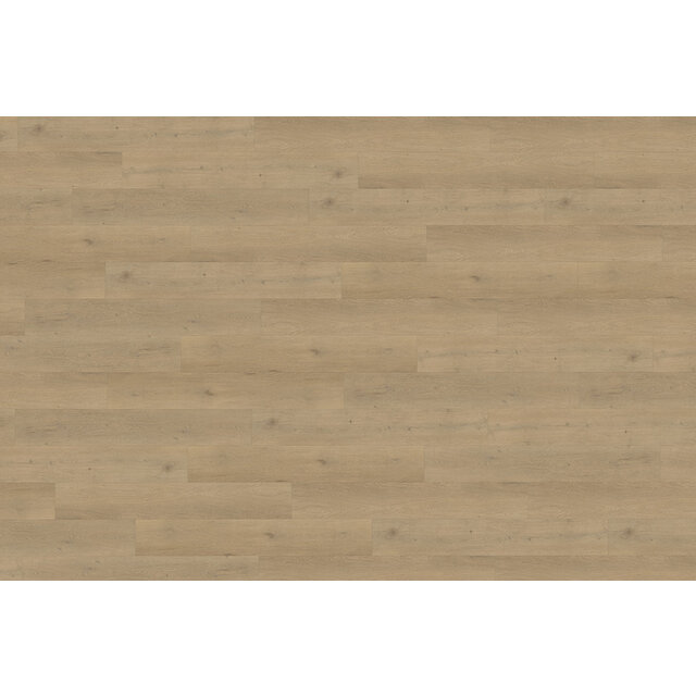 Attico 870 | Rigid Click