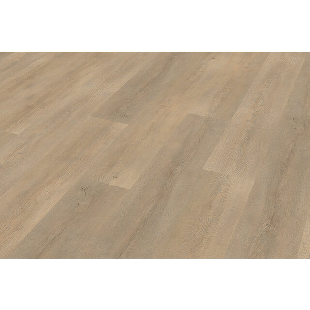 Palazzo 710 | Rigid Click