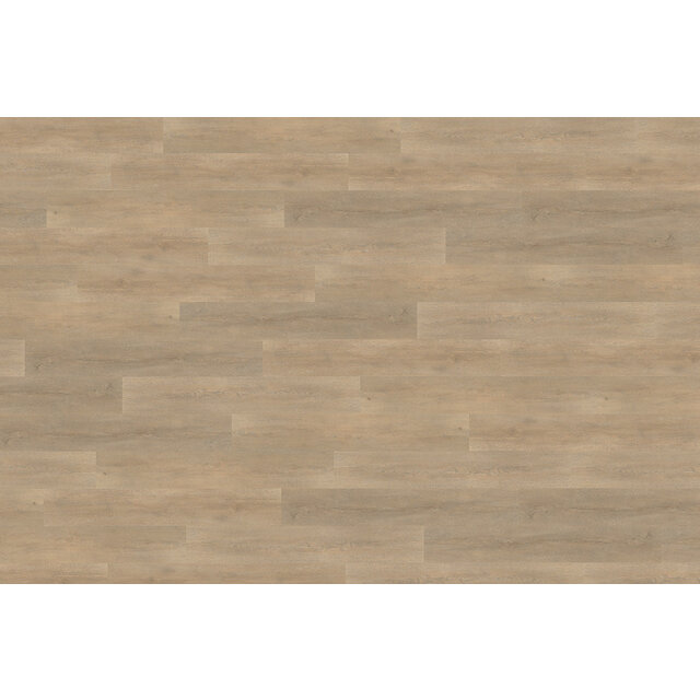 Palazzo 710 | Rigid Click