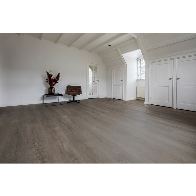 Palazzo 710 | Rigid Click