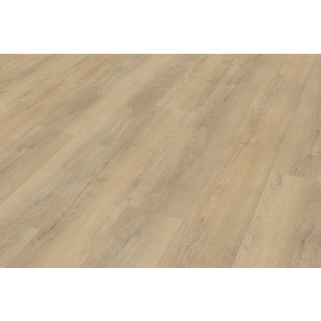 Palazzo 720 | Rigid Click Palazzo 720 | Rigid Click