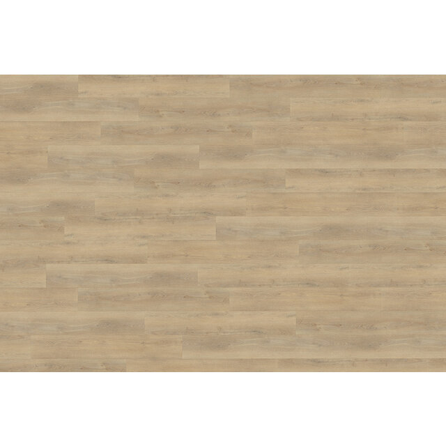 Palazzo 720 | Rigid Click Palazzo 720 | Rigid Click