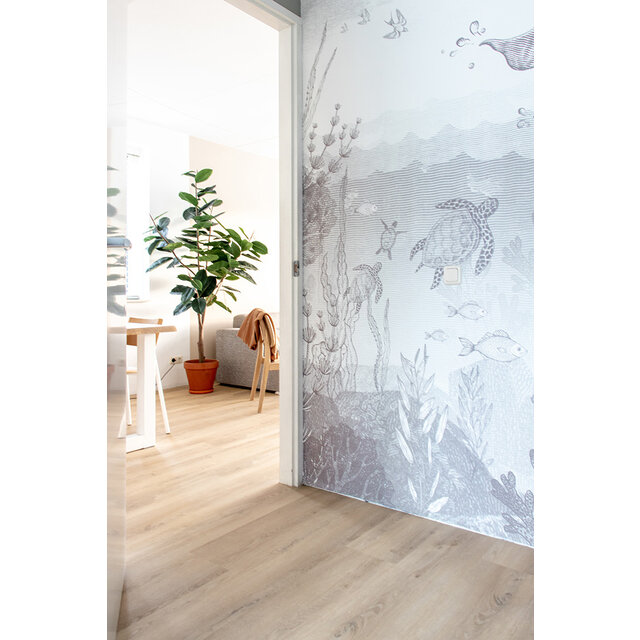 Palazzo 720 | Rigid Click Palazzo 720 | Rigid Click