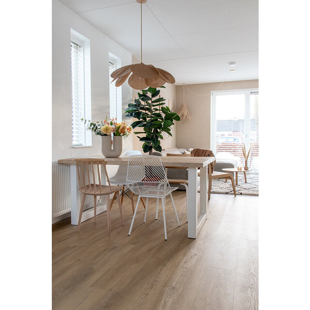 Palazzo 720 | Rigid Click Palazzo 720 | Rigid Click