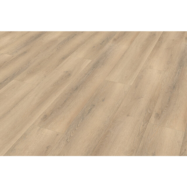 Palazzo 750 | Rigid Click Palazzo 750 | Rigid Click