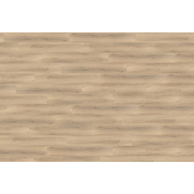 Palazzo 750 | Rigid Click Palazzo 750 | Rigid Click