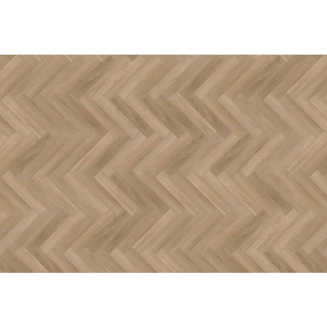 Attico Rigid Click | XL 81 Attico Rigid Click | XL 81