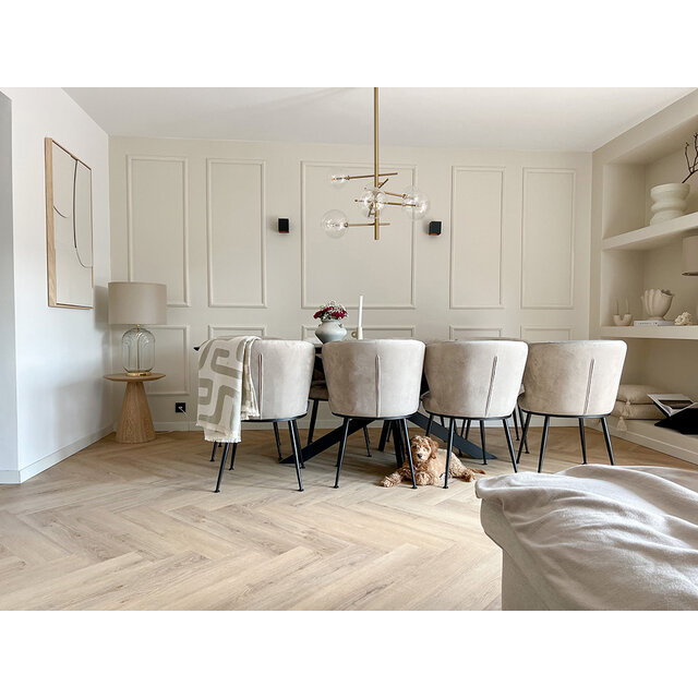 Palazzo XL 72 | Rigid Click Palazzo XL 72 | Rigid Click