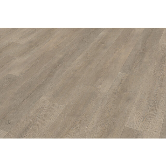 Palazzo | 700 Palazzo | 700