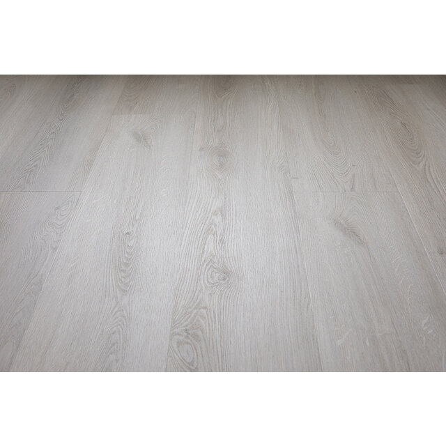 Palazzo | 730 Palazzo | 730