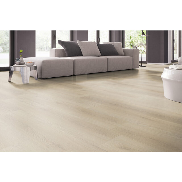 Palazzo | 730 Palazzo | 730