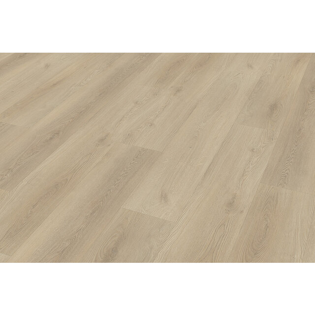 Palazzo | 730 Palazzo | 730