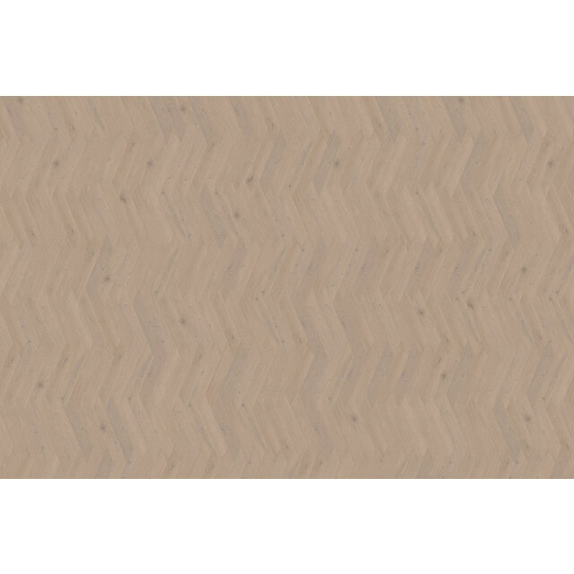 Attico Wiener | Punt 83