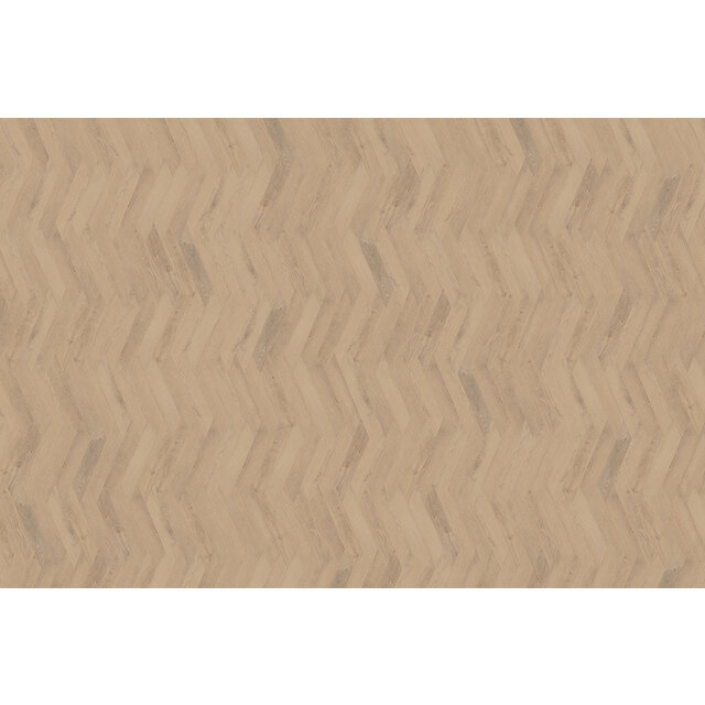 Palazzo Wiener | Punt 72 Palazzo Wiener | Punt 72