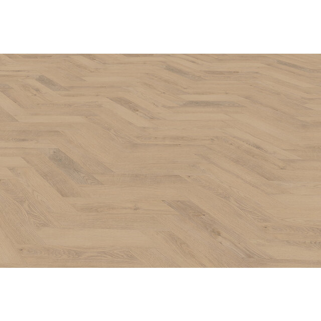 Palazzo Weense | Punt 72