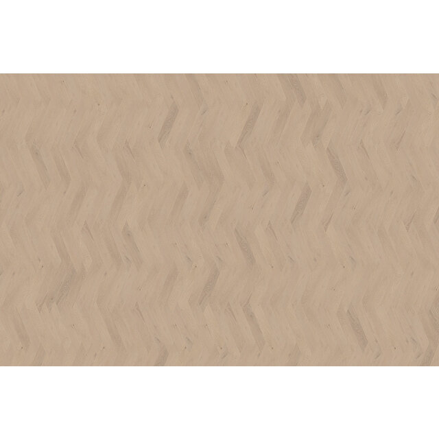 Palazzo Wiener | Punt 74