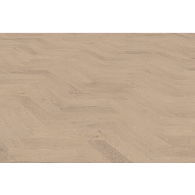 Palazzo Wiener | Punt 74