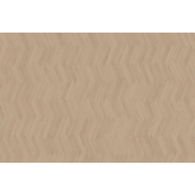 Palazzo Wiener | Punt 77