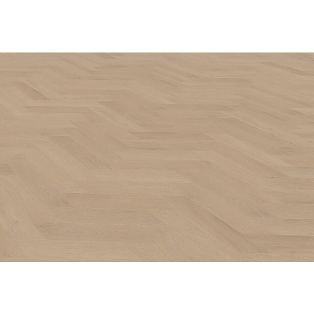 Palazzo Weense | Punt 77