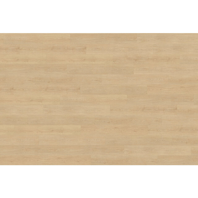 Monastro 920 | Rigid Click