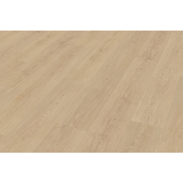 Monastro 920 | Rigid Click