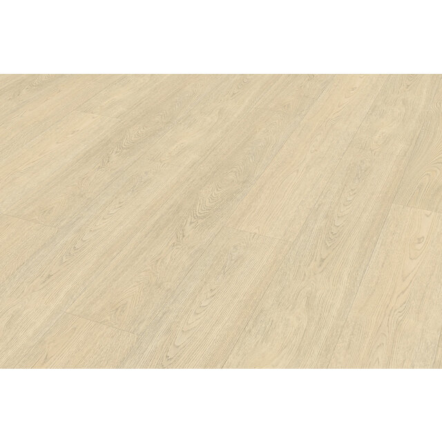 Terreno 620 | Rigid Click