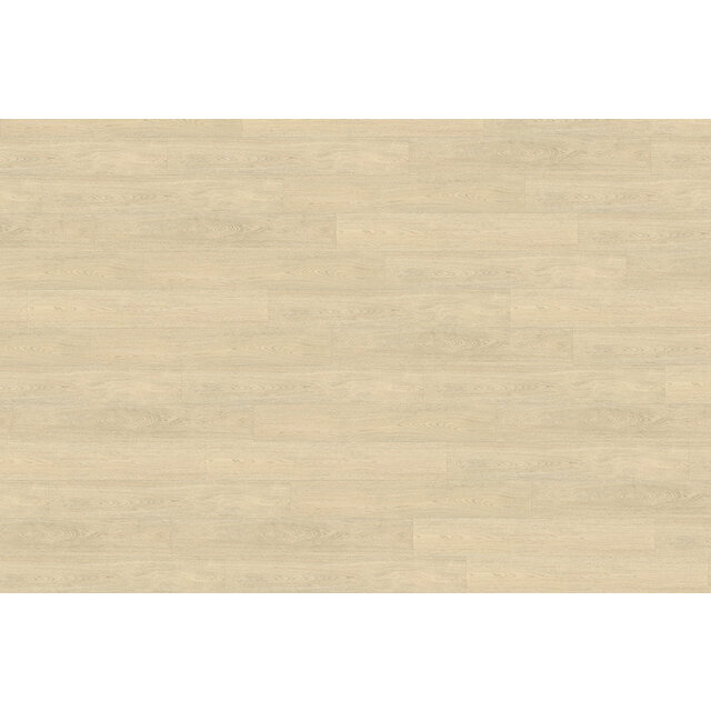 Terreno 620 | Rigid Click